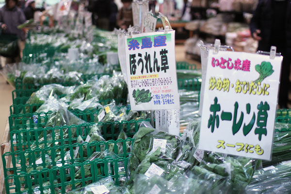 糸島野菜