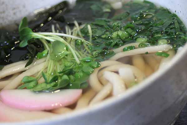 udon01