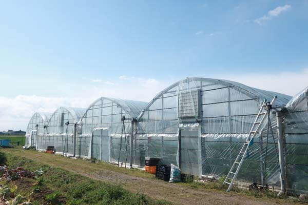 福岡で新規就農であまおういちごを栽培する彩果農園のハウス