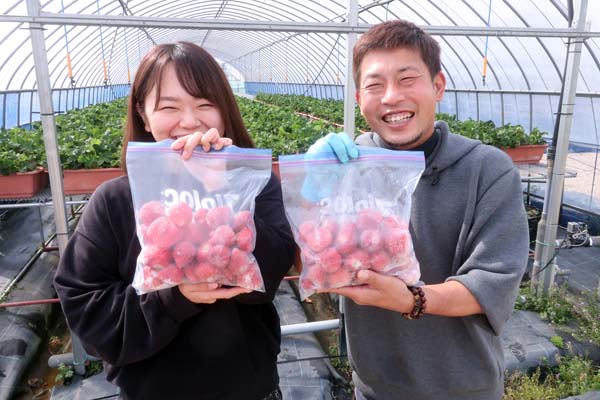 Uターン＆Iターンで福岡へ。新規就農であまおういちごを栽培する彩果農園の油小路ご夫妻